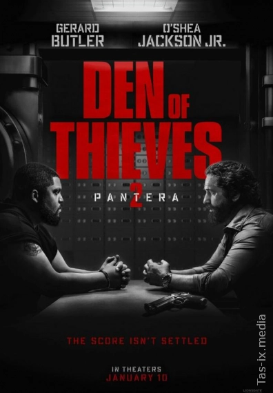 Охота на воров 2: Пантера