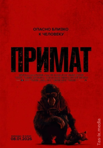 Quturgan maymun / Primat / Примат / Uzbek tilida / O'zbekcha tarjima